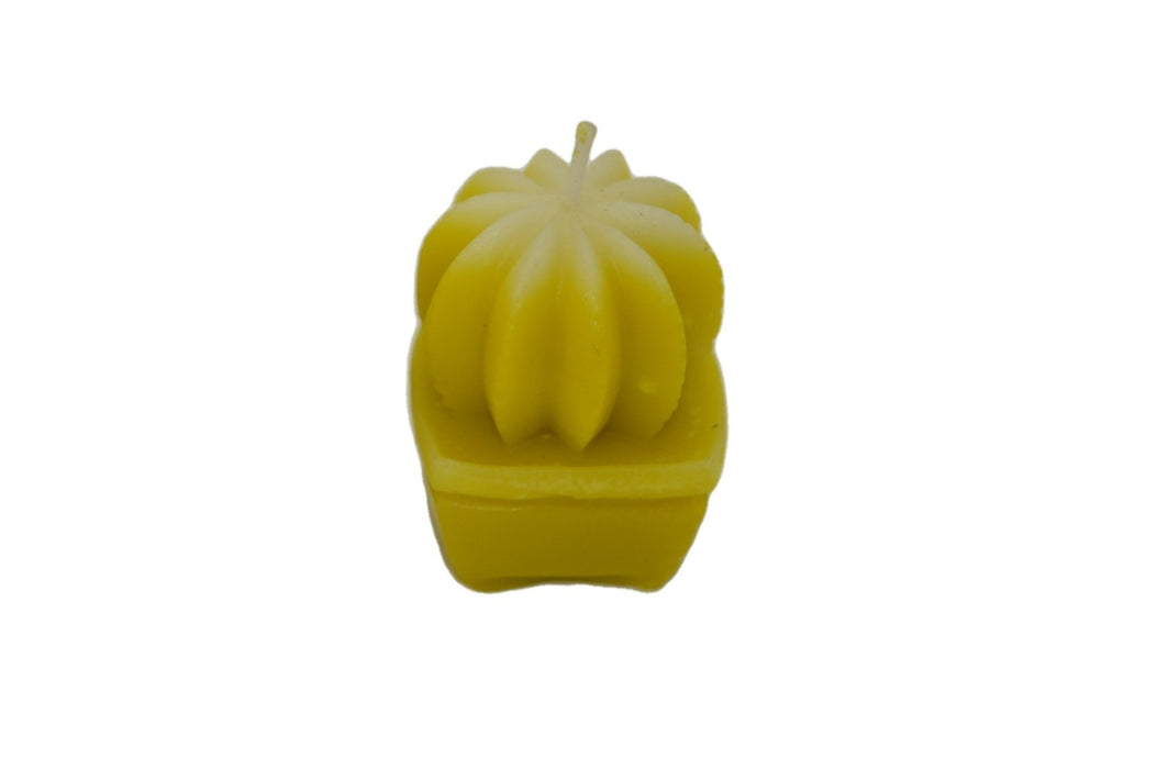 Small Cactus Silicone Candle Mould HBY418, Niral Industries.