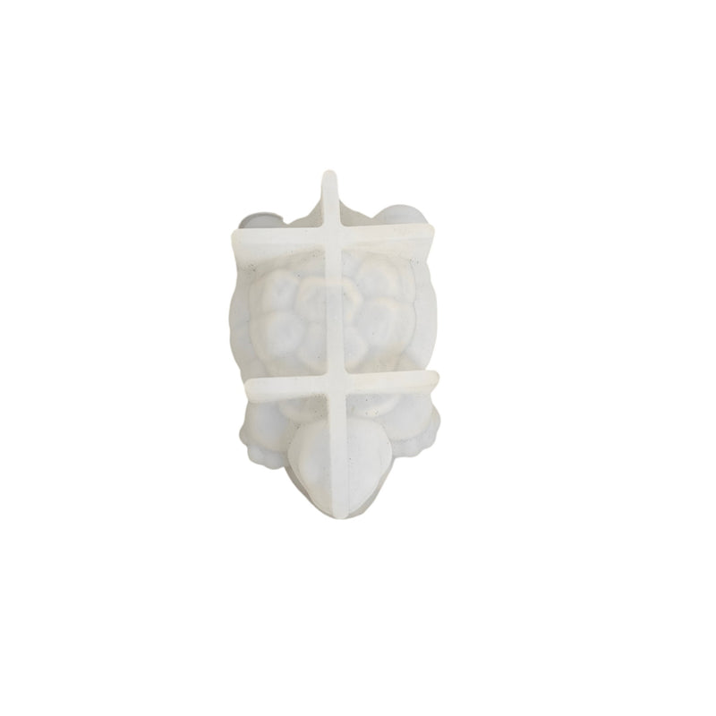 Good Luck Tortoise Resin Mold -RC71303