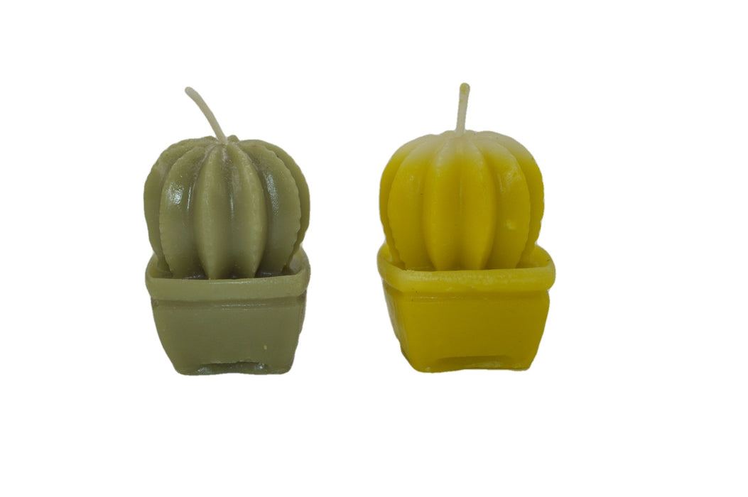 Small Cactus Silicone Candle Mould HBY418, Niral Industries.