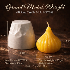 Medium Modak Delight silicone Candle Mold HCM21218, Niral Industries
