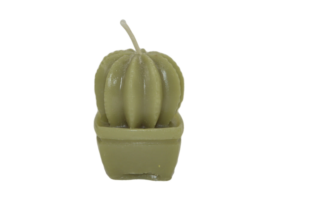 Small Cactus Silicone Candle Mould HBY418, Niral Industries.