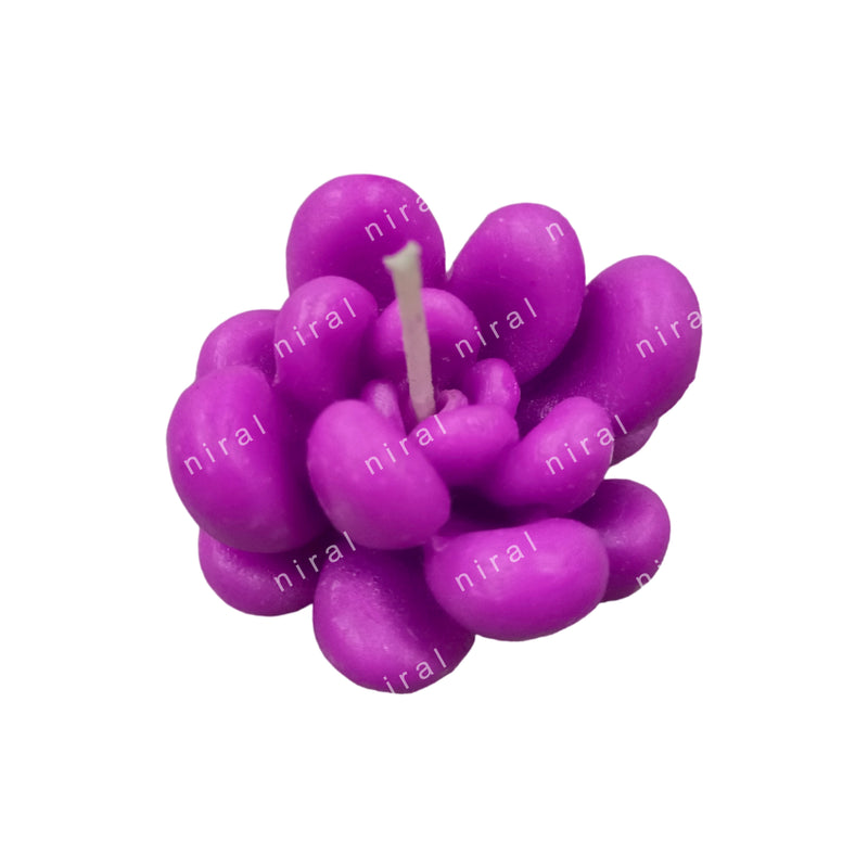 Succulent Flower Candle Mould medium HBY889, Niral Industries.