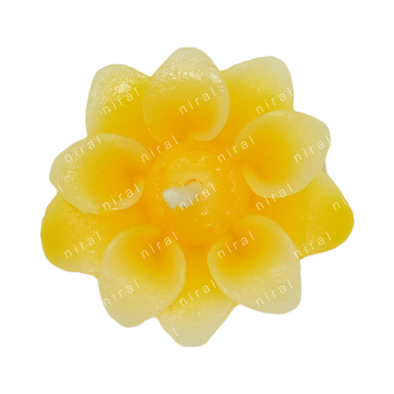 Sunny Blooms Silicone Candle Mold SCM22126, Niral Industries