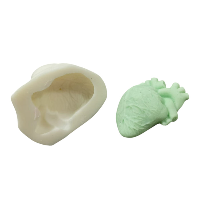 Human Heart Mould, HBY1034